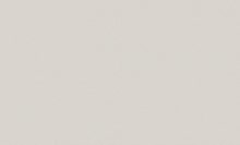 Однотонные серые обои (фон) Bernardo Bartalucci Artadi 84288-16