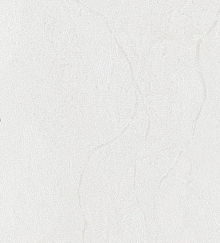 Bernardo Bartalucci Gaga  84284-10