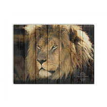 Панно с изображением льва Creative Wood ZOO ZOO - 21 Взгляд льва
